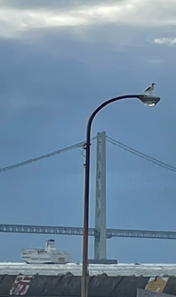 明石海峡大橋と大型船舶