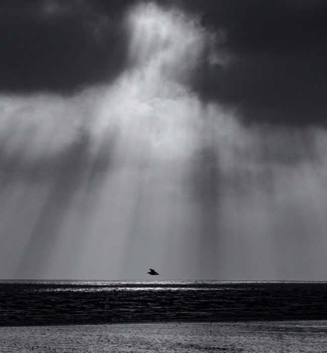 【ついてる】日本語考察