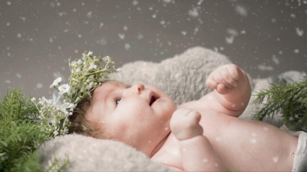 【ついてる】日本語考察