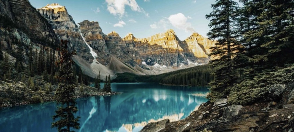 「きれい」な歯