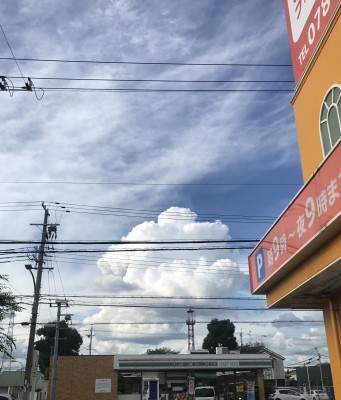 縄文時代の抜歯の風習