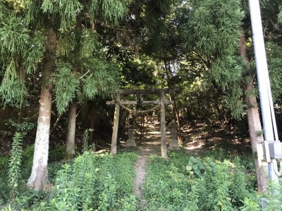 となりのトトロ?