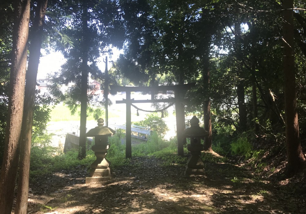 となりのトトロ？