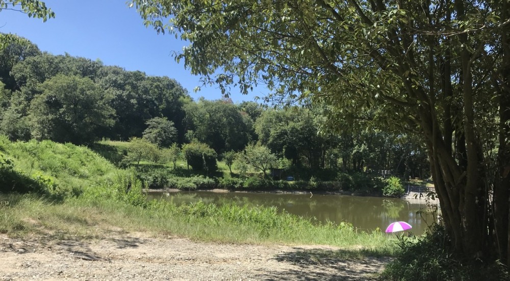 となりのトトロ？