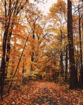 秋はもの悲しい季節
