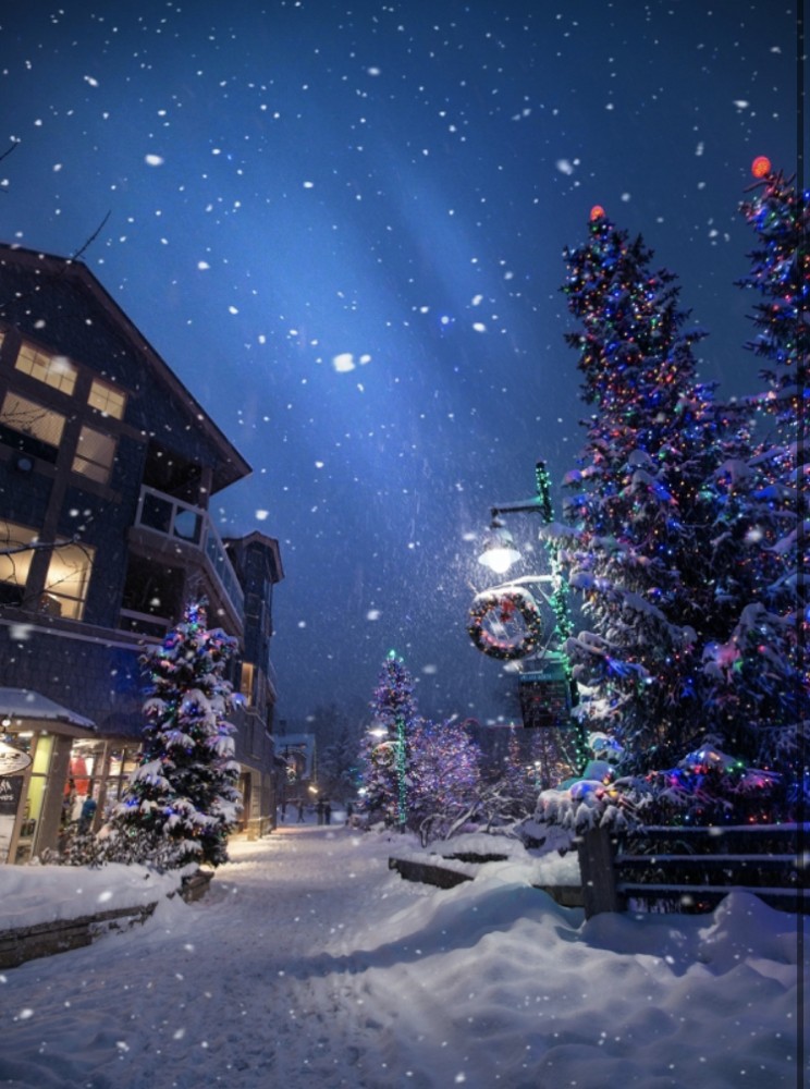 秋はもの悲しい季節