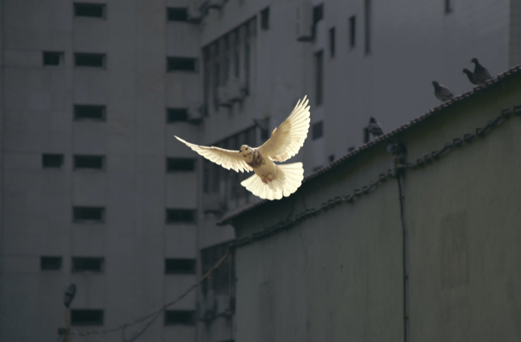 良い言葉が良い心をつくる