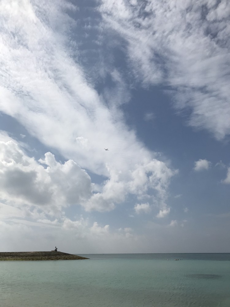 【魚骨】さかなの骨がのどに刺さったら?