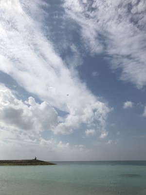 【魚骨】さかなの骨がのどに刺さったら?