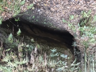 神戸の洞窟その①【堂屋敷洞窟】