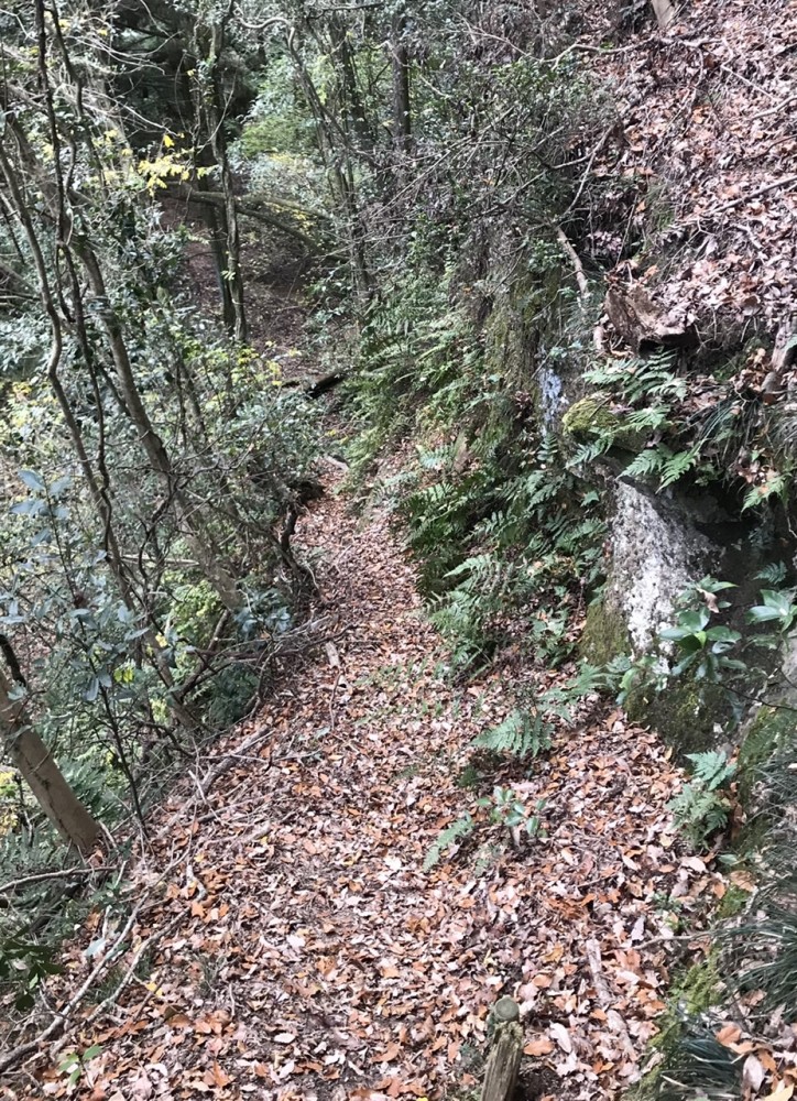 神戸の洞窟その②【仏谷洞窟】